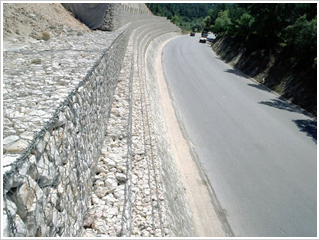 ���e�W��